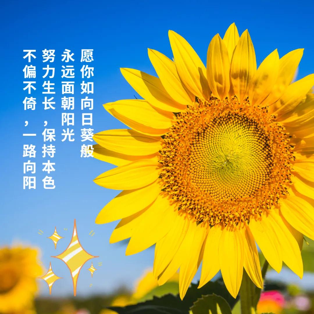 精選語錄回顧，蛻變成長(zhǎng)與無限可能——我的朋友圈故事 2017年度回顧