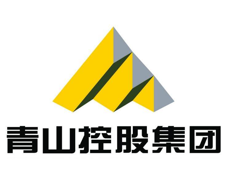 青山控股是否上市？解析其上市計(jì)劃與現(xiàn)狀