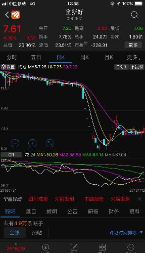 000007股票,揭秘000007股票，投資潛力與風(fēng)險并存