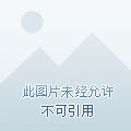 QQ音速比賽視頻全攻略，觀看、學(xué)習(xí)與提升技能的終極指南