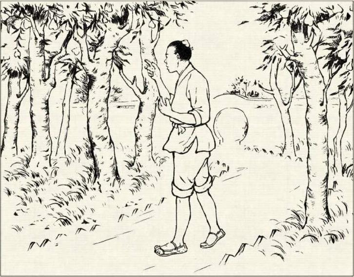 梨樹吧最新動(dòng)態(tài)更新速遞