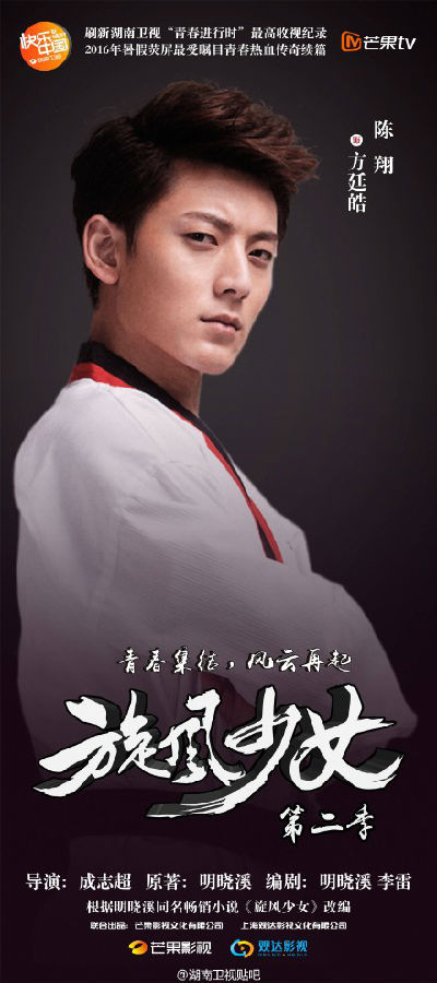 旋風(fēng)少女2演員表深度解析，角色與演員匹配度探究