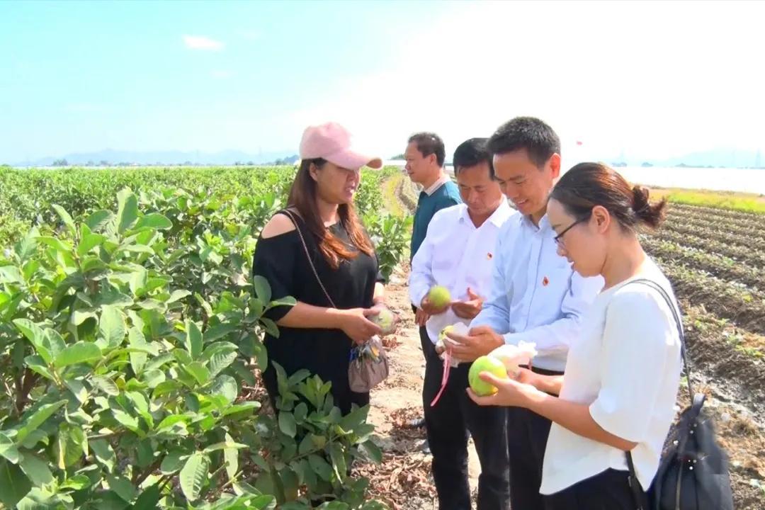 58同城海豐最新職位招聘，與自然美景同行，尋找內(nèi)心的平和寧?kù)o之旅