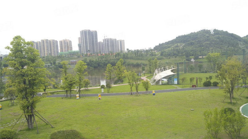 遂寧遠成中心最新實景圖，微觀透視與宏觀展望的城市發(fā)展觀察報告