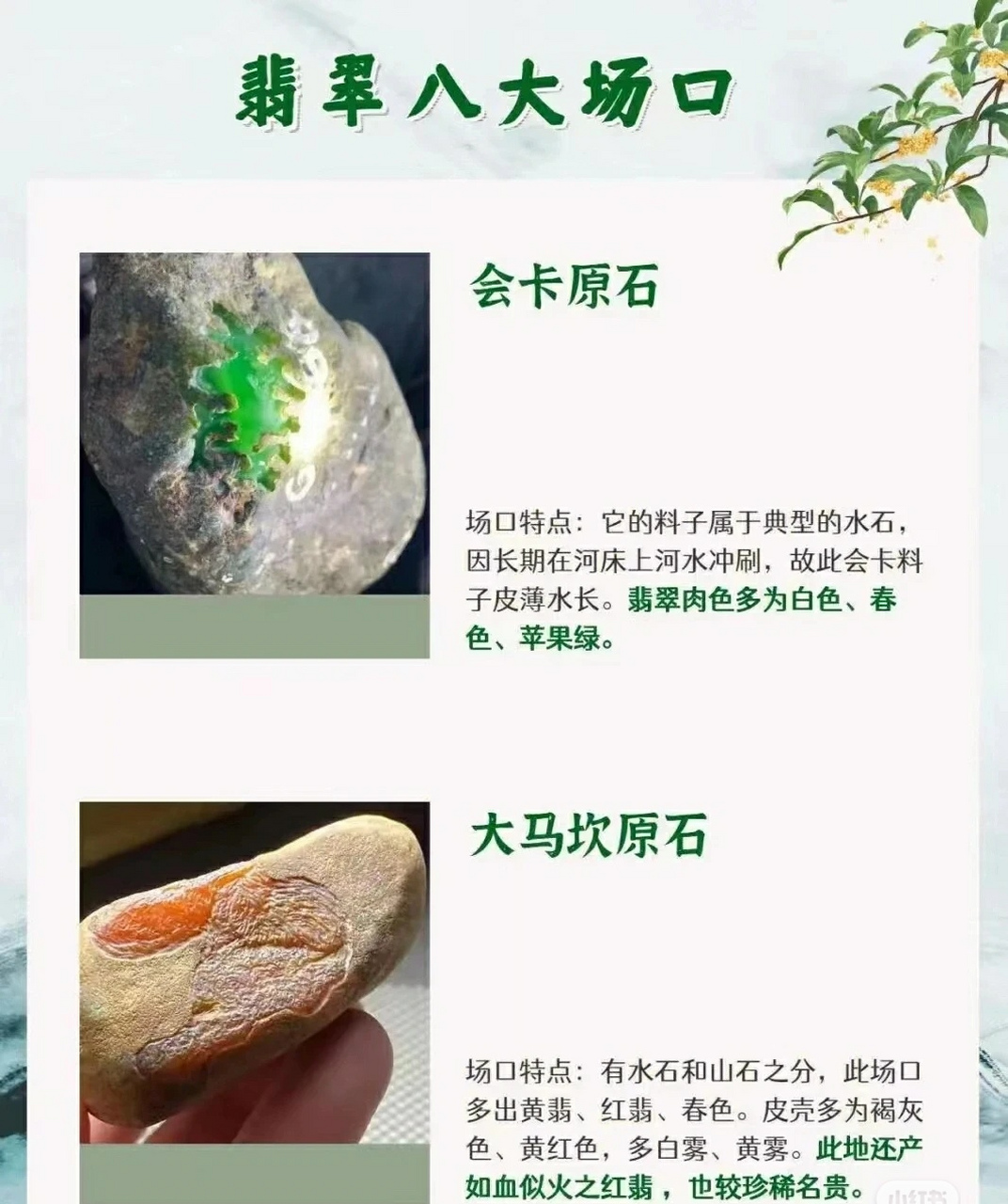 最新翡翠場口深度論述，探索翡翠原石的新發(fā)現(xiàn)與奧秘
