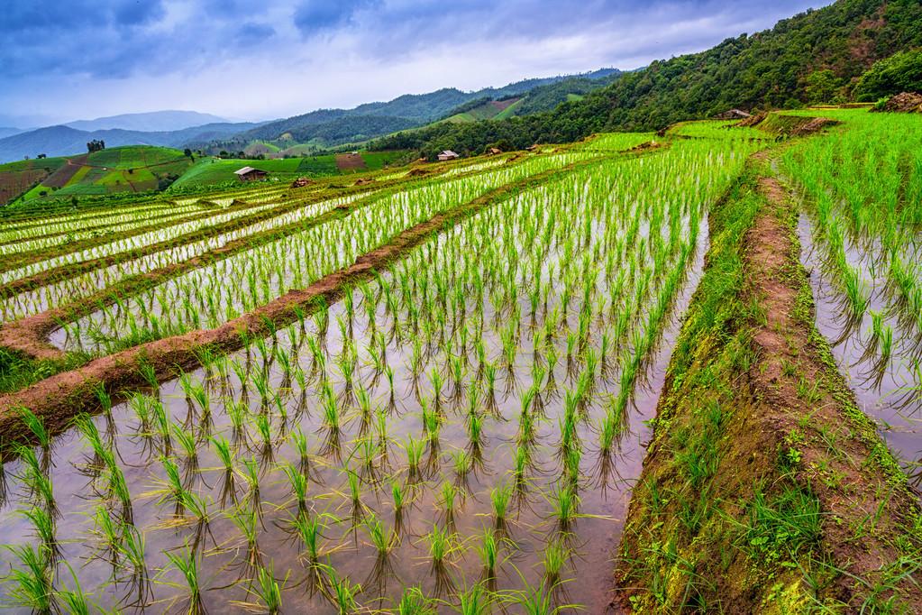 疫情控制最新動態(tài)更新，最新進展與趨勢分析