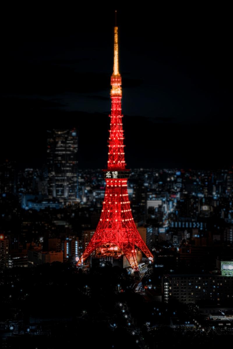 探索東京無限魅力，最新東京網(wǎng)站帶你暢游東京之巔