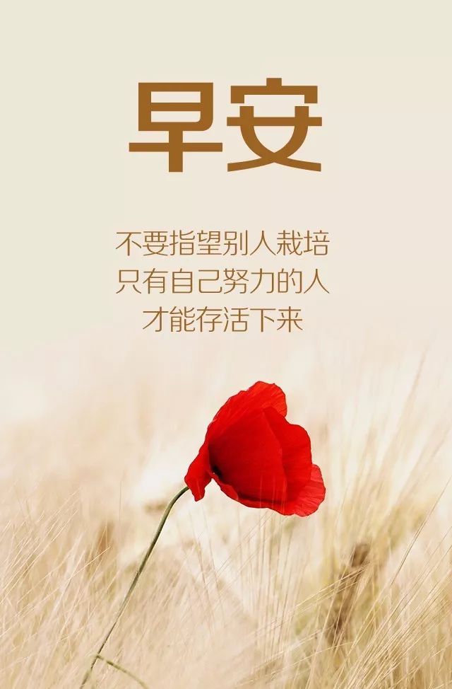 最新早安語錄，巷弄深處獨(dú)特小店喚醒你的清晨時(shí)光