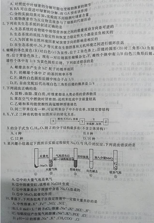 最新概念答案，擁抱變化，自信成就夢想之旅