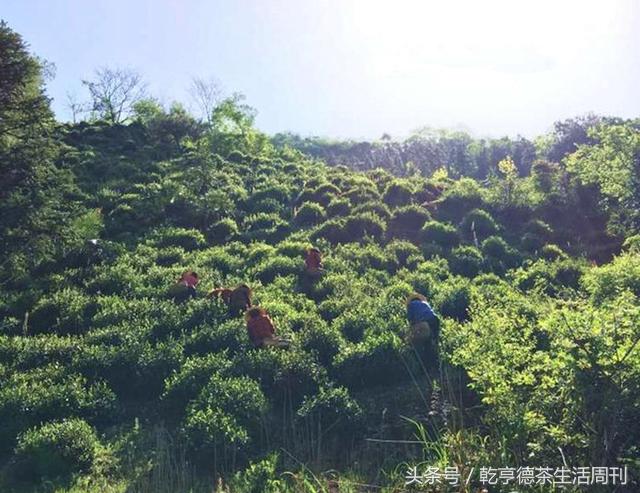 宣城新冠病毒防護(hù)指南，最新防護(hù)策略及應(yīng)對方法