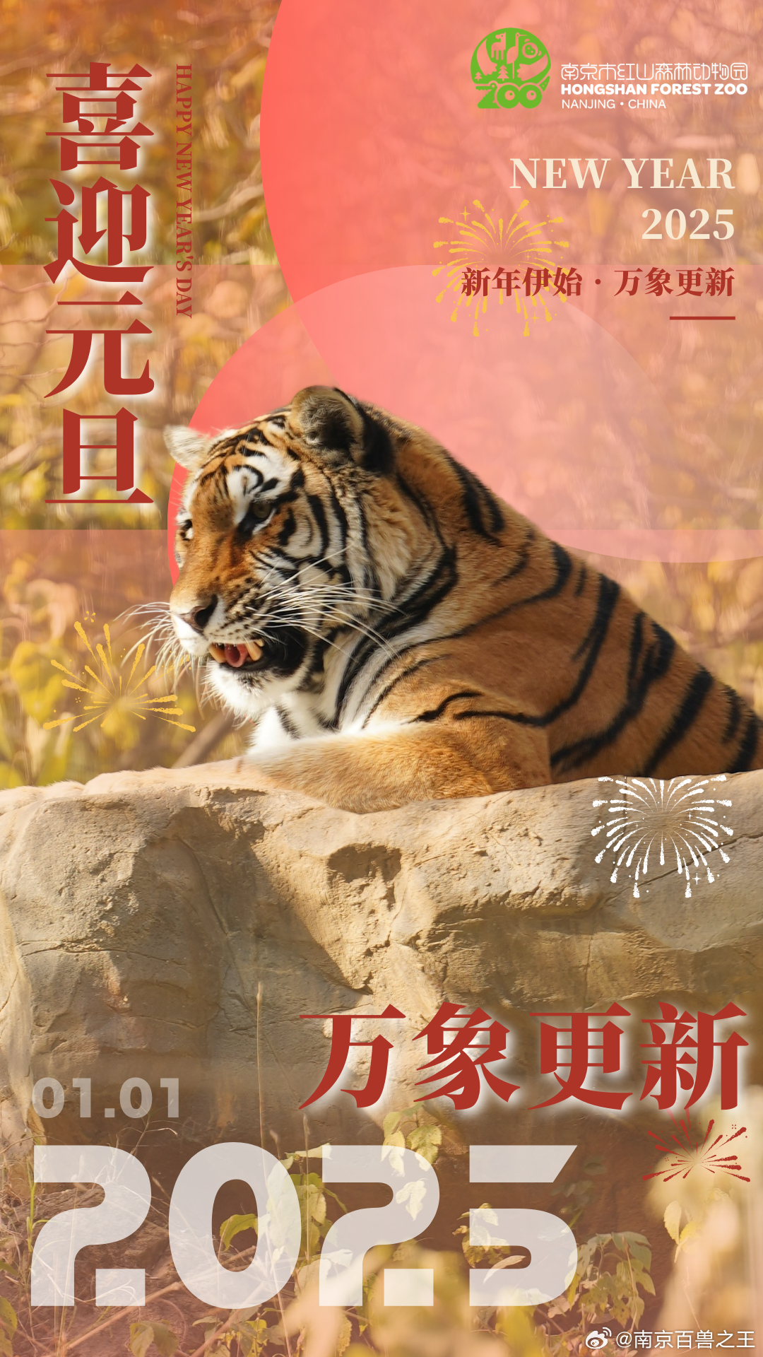 最新年伊始，完成某項任務(wù)或?qū)W習(xí)某種技能的詳細(xì)步驟指南