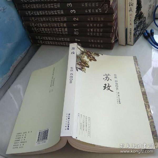 時代背景下的璀璨篇章，蘇最新章節(jié)速遞