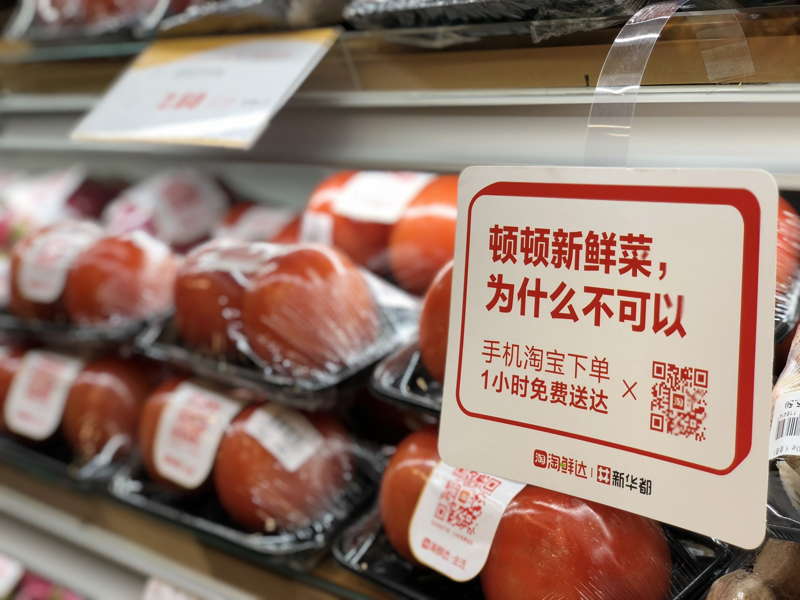 小巷中的秘密美食天堂，淘最新鮮美食之旅
