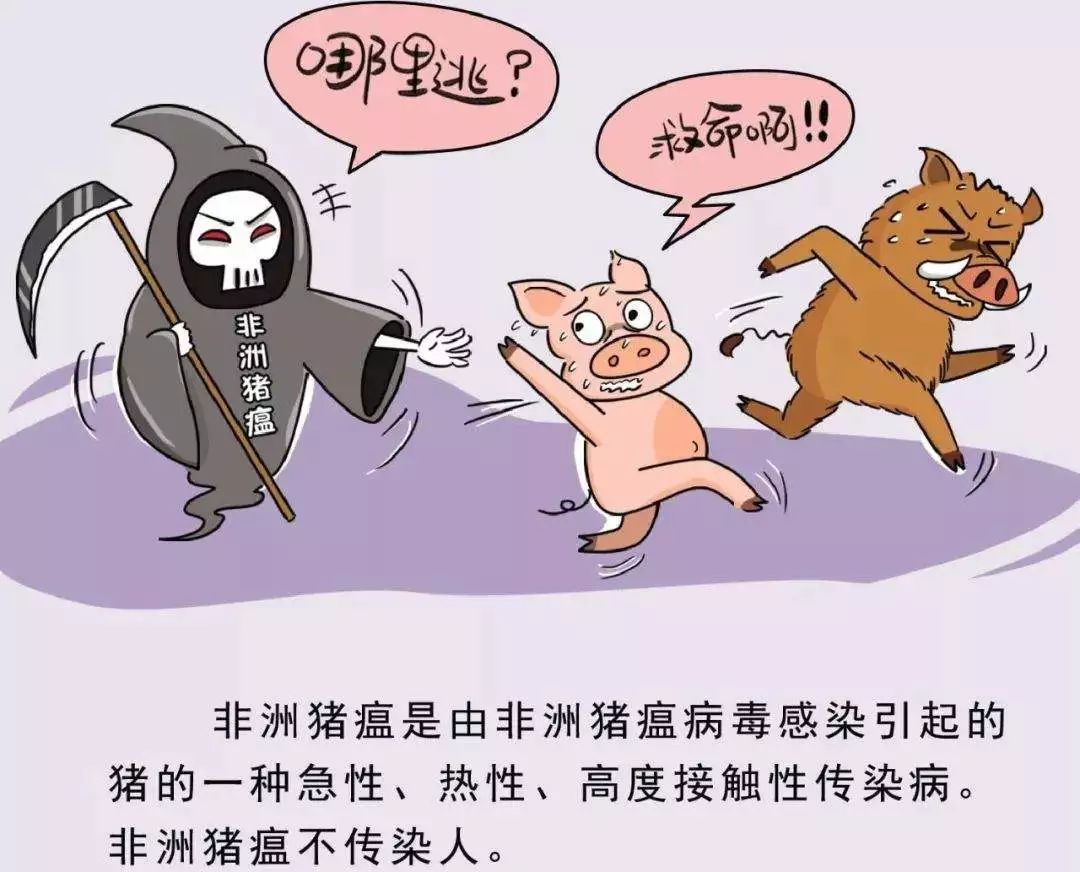 最新病毒實情與小巷深處的神秘美食探秘之旅
