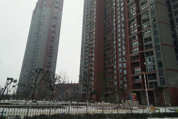 健龍果嶺公元最新動態(tài)更新，最新消息匯總