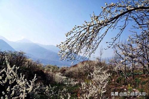 漢源九襄鎮(zhèn)最新規(guī)劃圖揭秘，藍圖下的繁榮未來